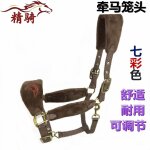 Harnais de tête cheval petit, plus d'accent a eté placé, damas avec des vêtements fins, bibcock, couvre ... Harnais de tête cheval petit, plus d'accent a eté placé, damas avec des vêtements fins, bibcock, couvre ...