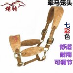 Harnais de tête cheval petit, plus d'accent a eté placé, damas avec des vêtements fins, bibcock, couvre ... Harnais de tête cheval petit, plus d'accent a eté placé, damas avec des vêtements fins, bibcock, couvre ...