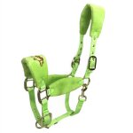 Harnais de tête cheval petit, plus d'accent a eté placé, damas avec des vêtements fins, bibcock, couvre ... Harnais de tête cheval petit, plus d'accent a eté placé, damas avec des vêtements fins, bibcock, couvre ...