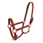 Harnais de tête cheval petit, plus d'accent a eté placé, damas avec des vêtements fins, bibcock, couvre ... Harnais de tête cheval petit, plus d'accent a eté placé, damas avec des vêtements fins, bibcock, couvre ...