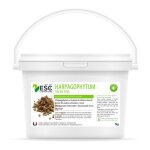 Harpagophytum - raideurs et sensibilit articulaire cheval - plante pure - 500g , equitation, cheval