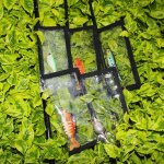 Housse de protection pratique pour leurres de pêche, couleur unie, légère, pour hommes Housse de protection pratique pour leurres de pêche, couleur unie, légère, pour hommes
