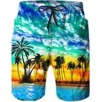 Iawan - maillot de bain homme 3d print short de bains plage séchage rapide summer surf beach shorts avec ... Iawan - maillot de bain homme 3d print short de bains plage séchage rapide summer surf beach shorts avec ...
