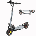 Ienyrid a1 trottinette electrique, moteur 250w, batterie 48v 12, 5ah, pneus 10 pouces, vitesse maximale ...