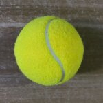 Ikstarndard - chien en feutre polyester, entranement tennis ikadvanced, 2. 5 pouces, 6 pices par paquet ...