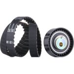 Ina kit de distribution ford 530 0142 10 1079390, 1113174, 1113180 kit courroie de distribution, kit ...