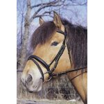 Kerbl 321744 bridon standard en cuir pour demi - sang (marron)