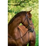 Kerbl bridon pour cob classic cuir marron 324912 Kerbl bridon pour cob classic cuir marron 324912