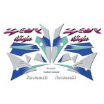 Kit autocollants compatible avec moto de route kawasaki zx - 9r 2001 d'argent