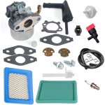 Kit carburateur de carburateur - filtre a air - filtre a carburant - bougie d'allumage pour briggs and ...