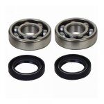 Kit roulement joint spi vilebrequin bas moteur pour moto suzuki 65 rm 2003 a 2005