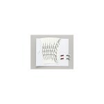 Kit stickers - pour 1 roue