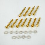 Kit visserie or carter de transmission pour scooter piaggio 50 typhoon neuf