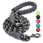 Laisse robuste pour chien, corde d'escalade, fil r�fl�chissant, poign�e rembourr�e, en nylon, pour la ...