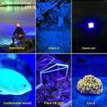 Lampe de poche uv rechargeable black light, lumières suivi du sang pour la chasse, lampe de poche led ... Lampe de poche uv rechargeable black light, lumières suivi du sang pour la chasse, lampe de poche led ...