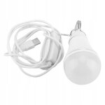 Lampe touristique ampoule led tente bivouac usb 10w