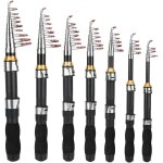 Lbgwp60 - canne pche tlescopique - petite canne a pche en mer - portable - courte - pour eau sale ...