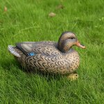 Leurre flottant en plastique pour la pche, appt artificiel idal pour la chasse ou la poule