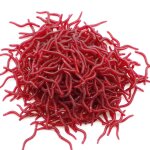 Leurre rouge souple de type ver de terre pour la pche, appt artificiel idal pour la carpe ou le bar, ...