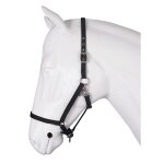 Licol pour cheval base horka