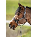 Licol pour cheval avec corde en nylon hfi neoprene smart cob mixte gris