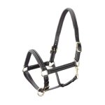 Licol pour cheval en cuir doubl� bomb�e tattini