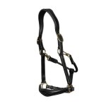 Licol pour cheval en cuir dy'on