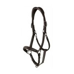 Licol pour cheval en cuir extra souple dy'on