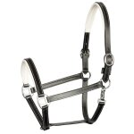 Licol pour cheval en cuir harry's horse elegance