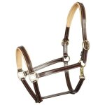 Licol pour cheval en cuir harry's horse elegance