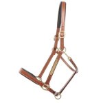 Licol pour cheval en cuir kavalkade bennet