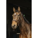 Licol pour cheval en cuir norton rock