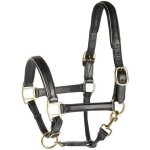 Licol pour cheval en cuir avec passepoil harry's horse