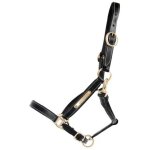 Licol pour cheval en cuir avec plaque t de t
