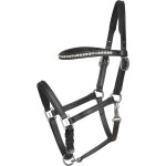 Licol pour cheval en cuir poulin horseguard