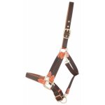 Licol pour cheval en cuir et sangle t de t