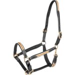 Licol pour cheval en cuir waldhausen x - line oxford