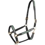 Licol pour cheval en cuir waldhausen x - line oxford