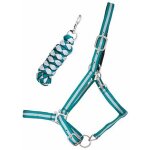 Licol pour cheval double + longe t de t