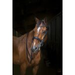 Licol pour cheval eric thomas hybrid