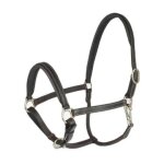 Licol pour cheval horze largo