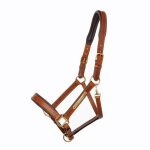Licol pour cheval kavalkade cinta