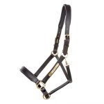 Licol pour cheval kavalkade cinta