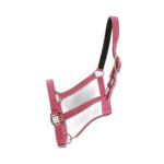 Licol pour cheval norton doubl� cuir