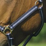 Licol pour cheval norton doubl� cuir