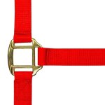 Licol pour cheval norton doubl� cuir