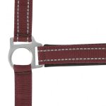 Licol pour cheval norton reflective