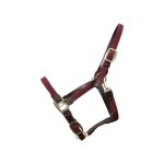 Licol pour cheval nylon tress� kentucky