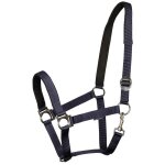 Licol pour cheval rembourr� harry's horse