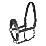 Licol pour cheval waldhausen s - line